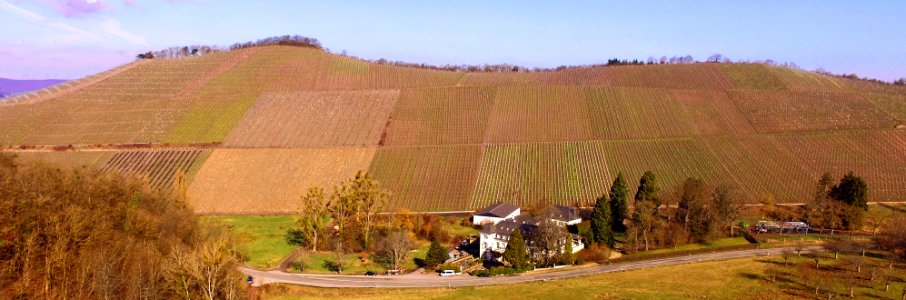Scharzhofberg Wiltingen