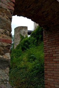 Schallaburg, im Burggraben