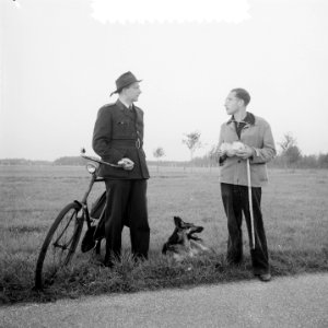 Schapenkudde in Amsterdamse Bos, Bestanddeelnr 907-3784