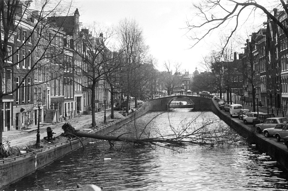 Schade door hevige storm boom in gracht in Amsterdam, Bestanddeelnr 928-3423