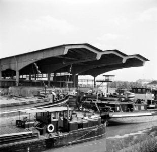 Schepen waaronder de Mesocco, Luxemburg en Edelweiss 9 bij de overdekte overslag, Bestanddeelnr 254-1316