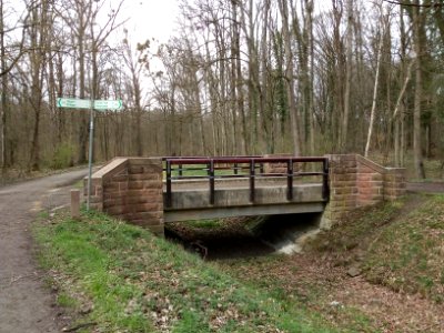 Scheidgraben, Oberwald, Brücke (2)