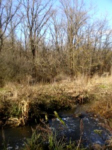 Schepkinsky Arroyo river