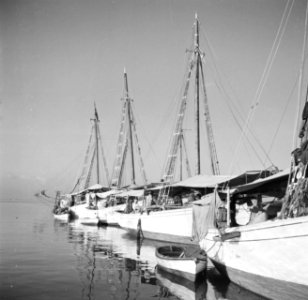 Schepen in de haven van Oranjestad op Aruba, Bestanddeelnr 252-7857
