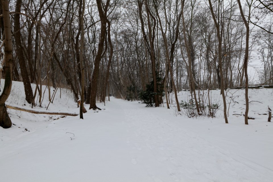 Schöneberger Südgelände with snow 2021-02-08 05