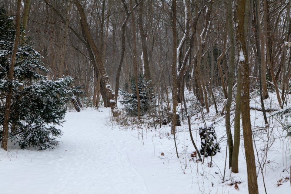 Schöneberger Südgelände with snow 2021-02-08 02