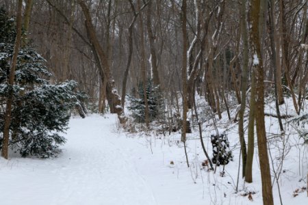 Schöneberger Südgelände with snow 2021-02-08 02