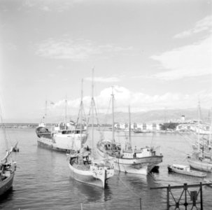 Schepen in de haven van Beiroet, Bestanddeelnr 255-6230