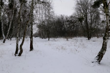 Schöneberger Südgelände with snow 2021-02-08 30