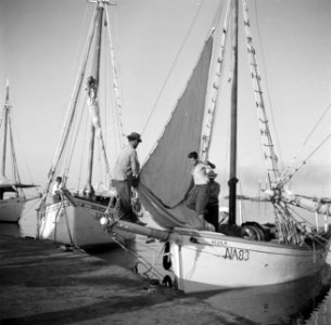 Schepen in de haven van Oranjestad op Aruba, Bestanddeelnr 252-7852