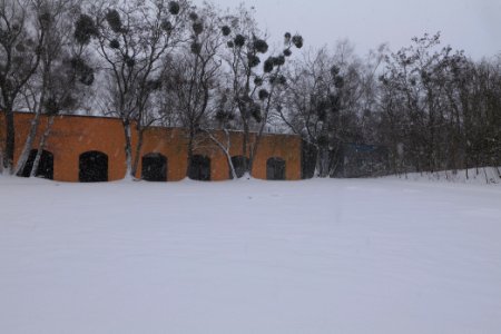 Schöneberger Südgelände with snow 2021-02-08 41