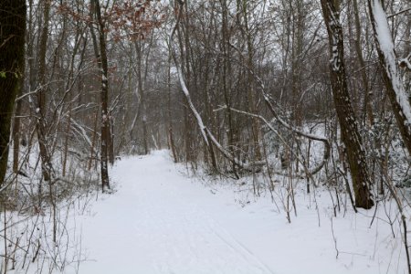 Schöneberger Südgelände with snow 2021-02-08 09