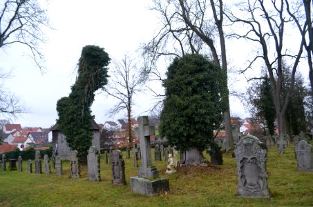 Schenklengsfeld, Historischer Friedhof, Grabsteine (1)
