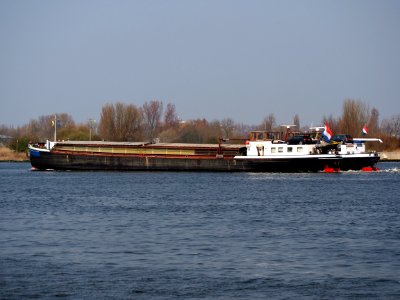 Schavuit - ENI 02205074 & Lia - ENI 02205076, Noordzeekanaal, Port of Amsterdam, pic3