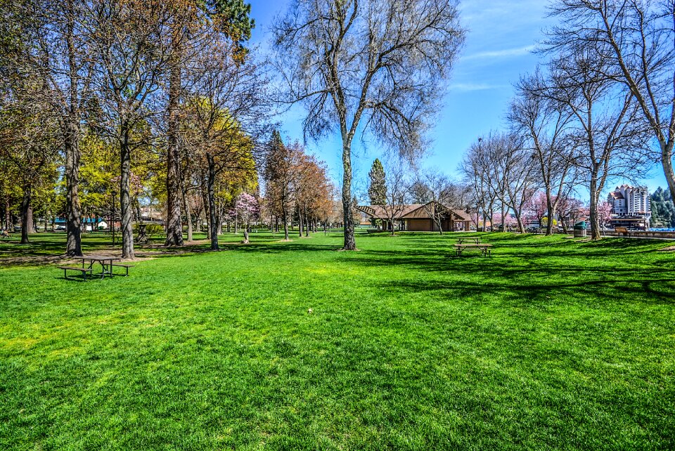 Trees resort outdoor