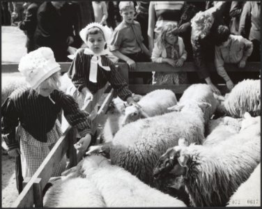 Schapen, markten, Bestanddeelnr 072-0617