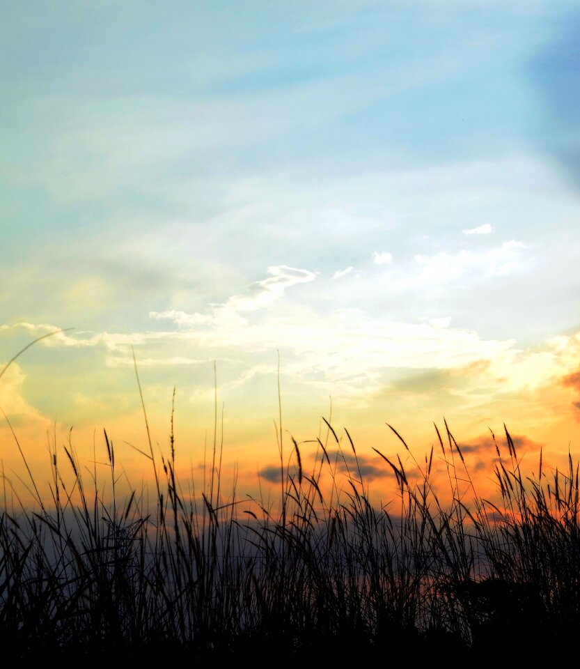 Grass outdoors dramatic
