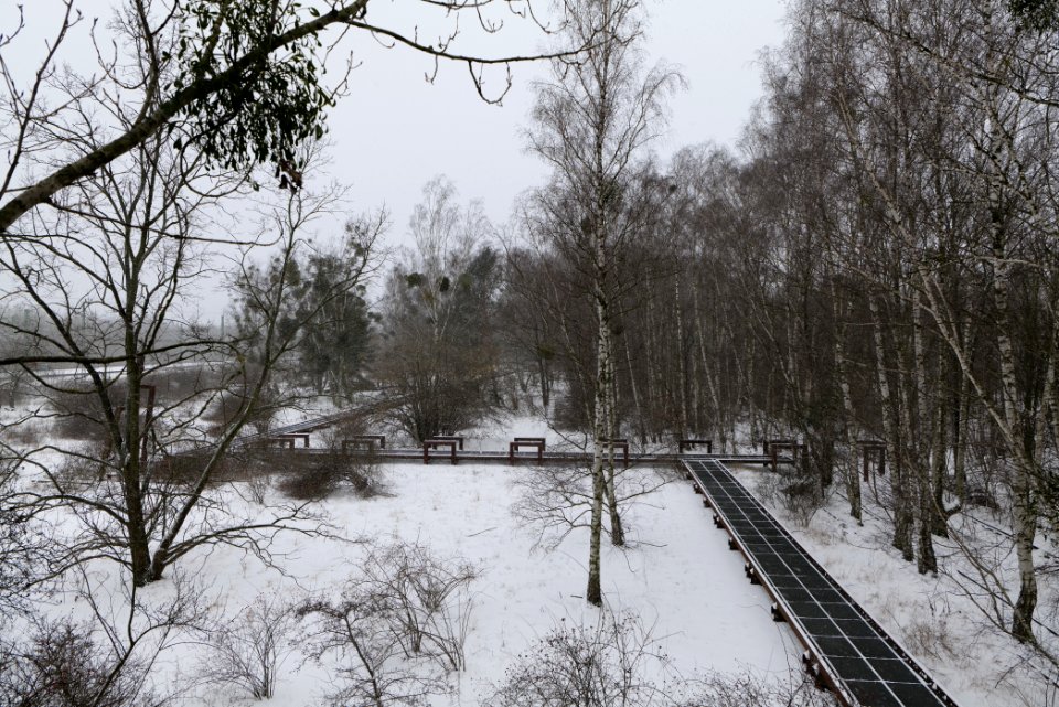 Schöneberger Südgelände with snow 2021-02-08 16