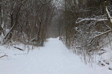 Schöneberger Südgelände with snow 2021-02-08 12
