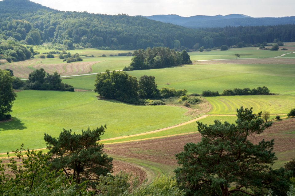 Schelmbachponor 11