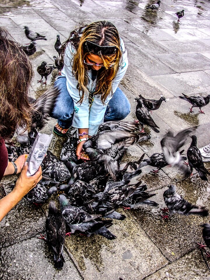 Birds feed tourist photo