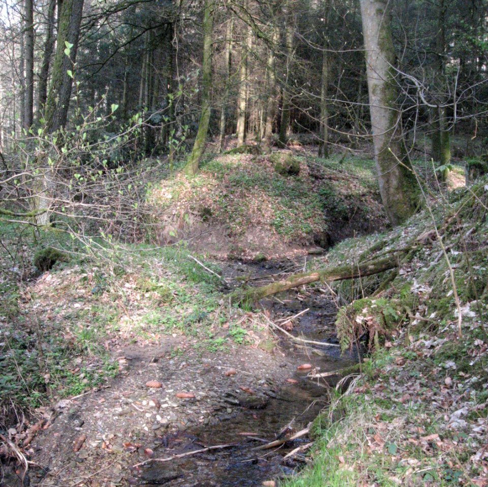 Schenkenbach unterhalb der Mündung des Bachs vom Höllberg