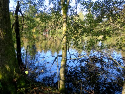 Scheibelsee Schnaitsee