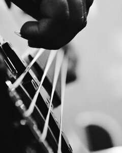 Black and white music live