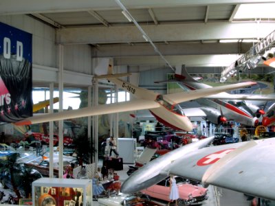Scheibe Bergfalke II D-1619