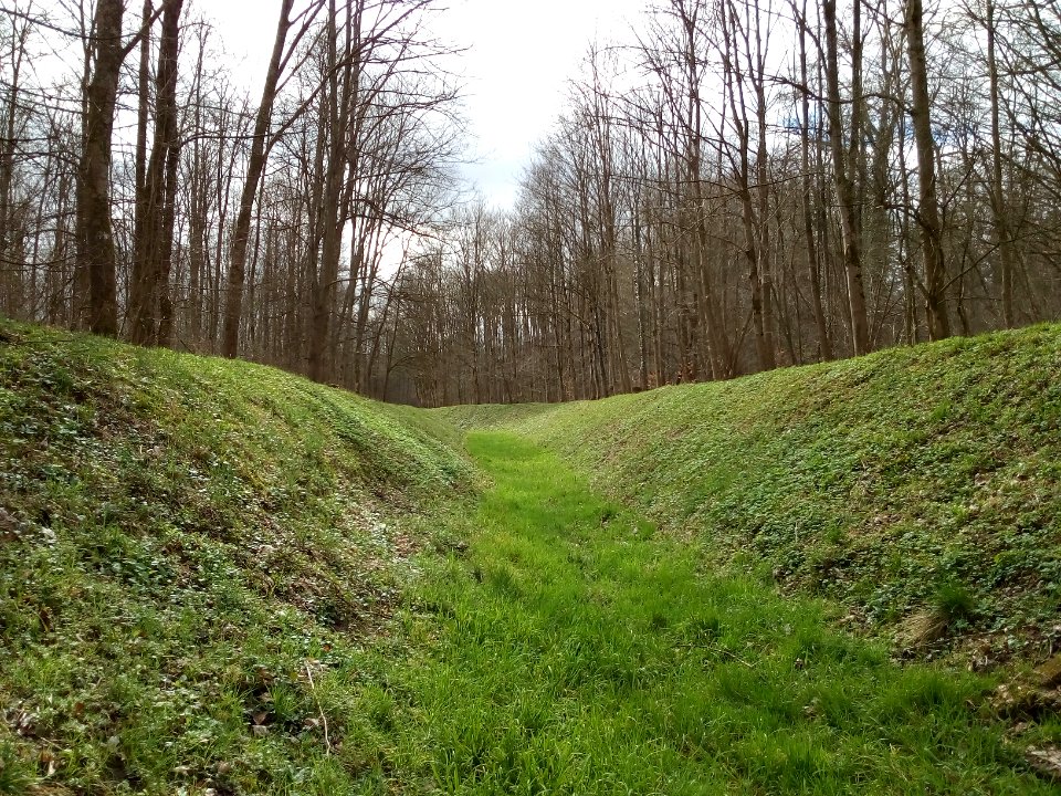 Scheidgraben, Oberwald (2)