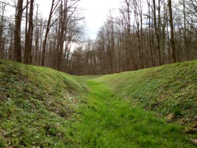 Scheidgraben, Oberwald (2)
