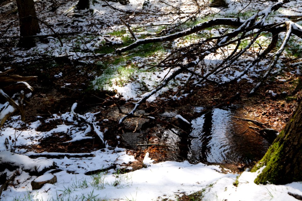 Schellbach Taunus 2021-04-06 03
