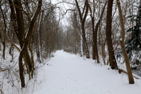 Schöneberger Südgelände with snow 2021-02-08 07