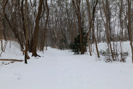 Schöneberger Südgelände with snow 2021-02-08 06