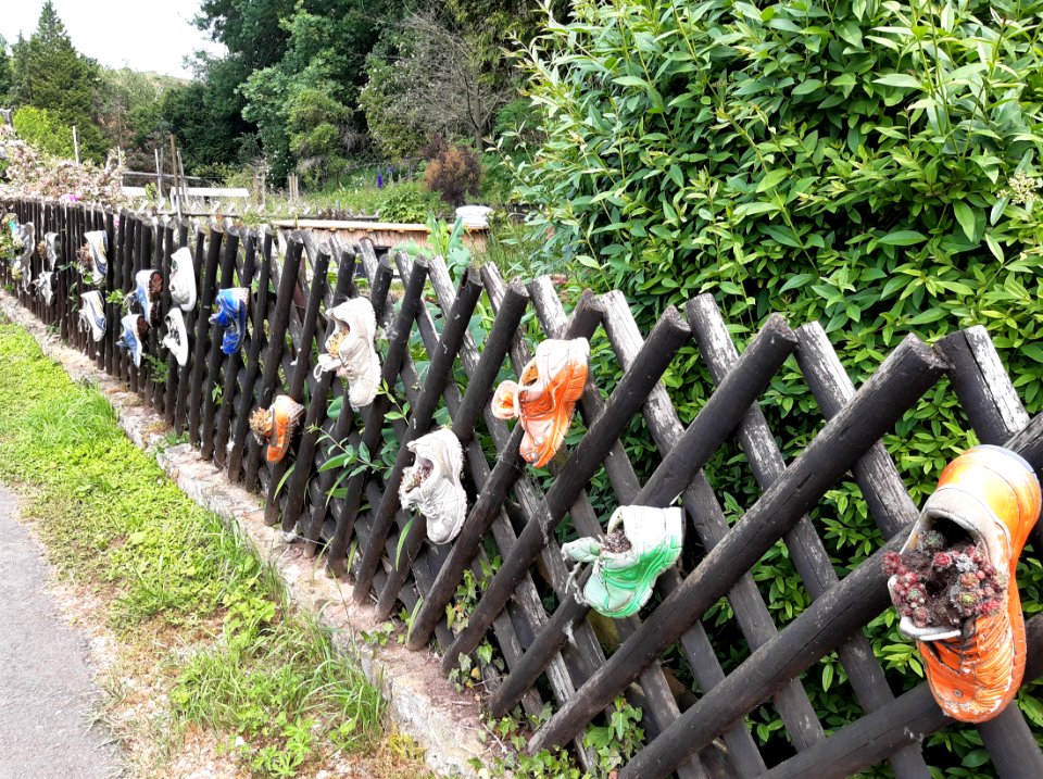 Schönburg (Saale) shoes as pots