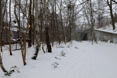 Schöneberger Südgelände with snow 2021-02-08 38