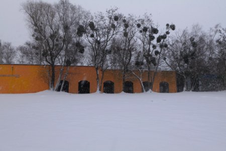 Schöneberger Südgelände with snow 2021-02-08 42