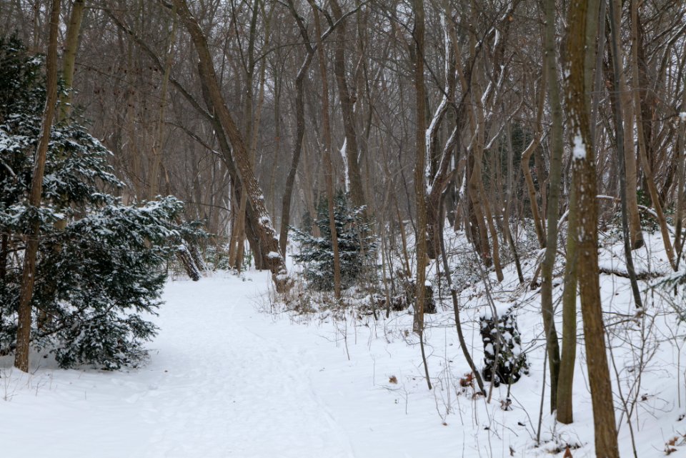 Schöneberger Südgelände with snow 2021-02-08 03