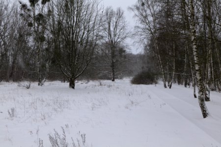 Schöneberger Südgelände with snow 2021-02-08 33
