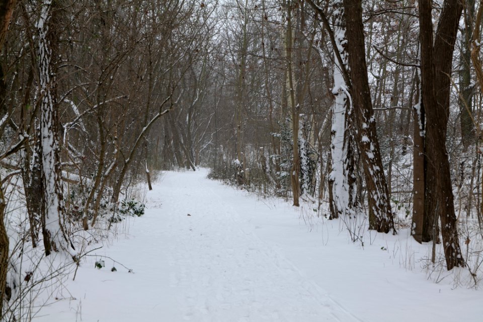 Schöneberger Südgelände with snow 2021-02-08 08