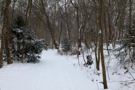 Schöneberger Südgelände with snow 2021-02-08 04