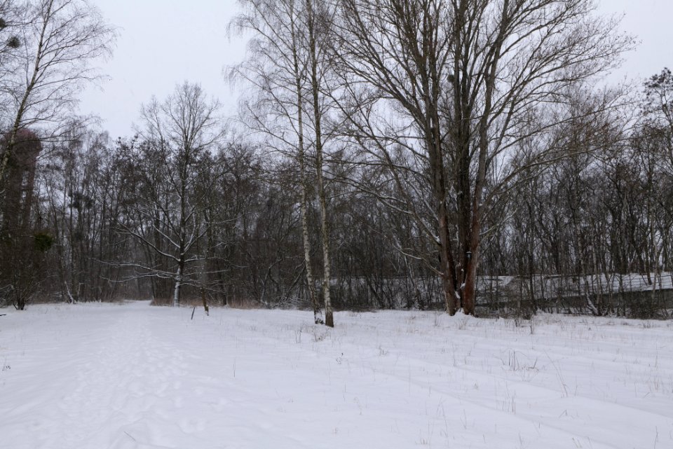 Schöneberger Südgelände with snow 2021-02-08 35