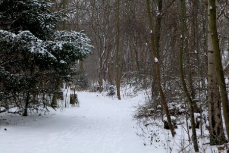 Schöneberger Südgelände with snow 2021-02-08 01
