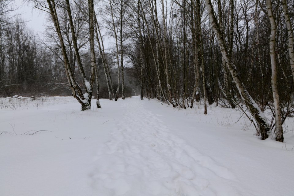 Schöneberger Südgelände with snow 2021-02-08 34