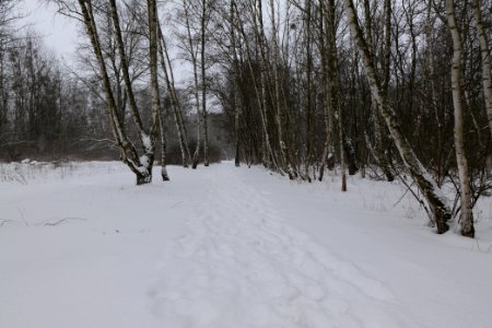 Schöneberger Südgelände with snow 2021-02-08 34