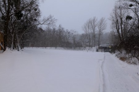 Schöneberger Südgelände with snow 2021-02-08 39