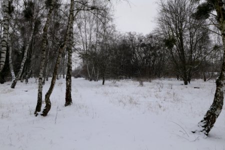 Schöneberger Südgelände with snow 2021-02-08 31