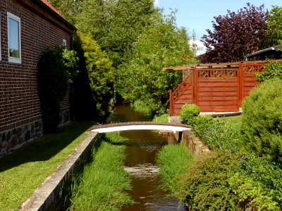 Schönewörde Riet 1