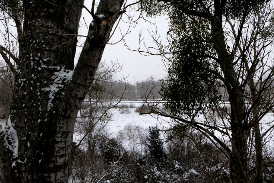 Schöneberger Südgelände with snow 2021-02-08 14