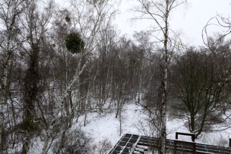 Schöneberger Südgelände with snow 2021-02-08 13